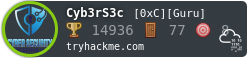 TryHackMe ranking badge