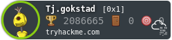 TryHackMe Badge for Tj.gokstad